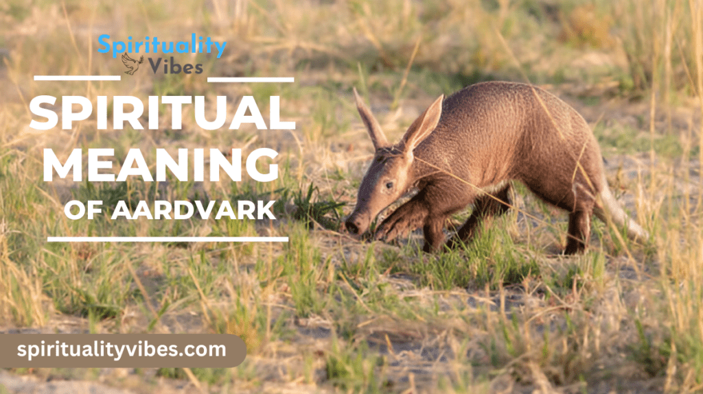 Spiritual Meaning of Aardvark