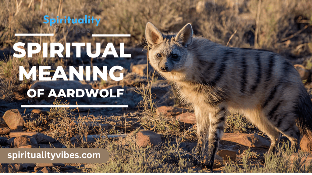 Spiritual Meaning of Aardwolf