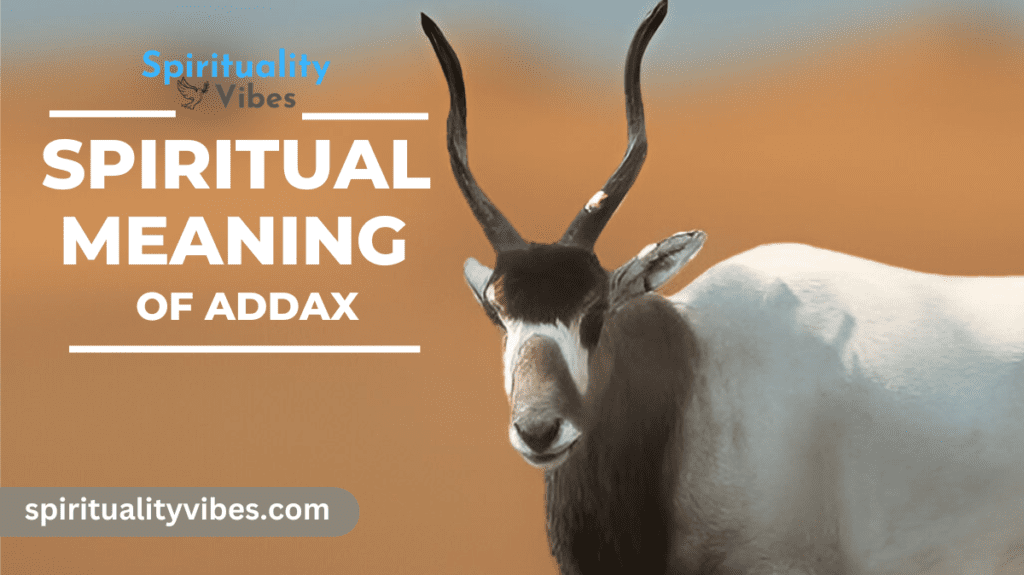 Spiritual Meaning of Addax