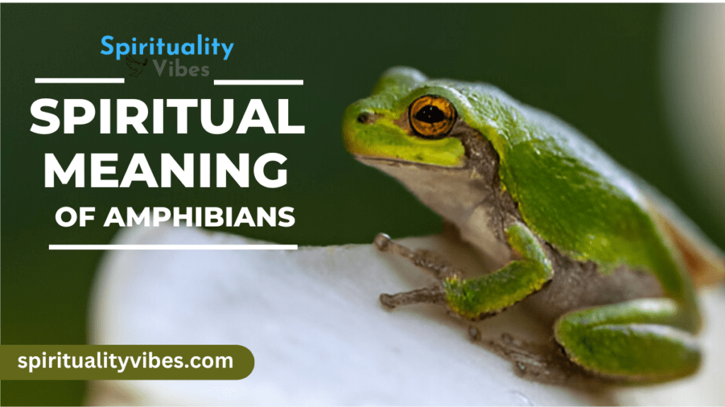 Spiritual Meaning of Amphibians