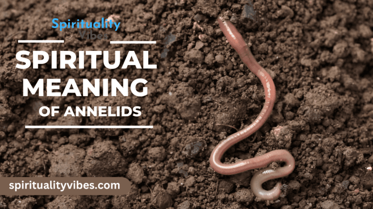 Spiritual Meaning of Annelids