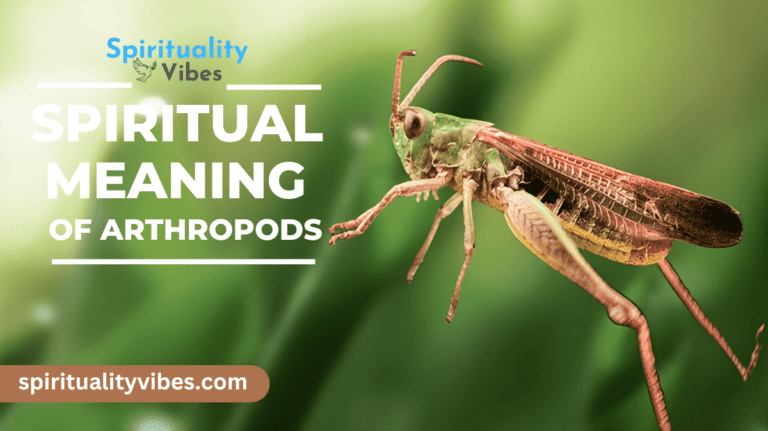 Spiritual Meaning of Arthropods