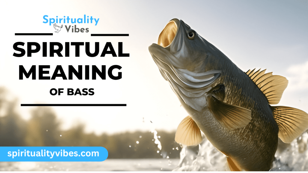 Spiritual Meaning of Bass