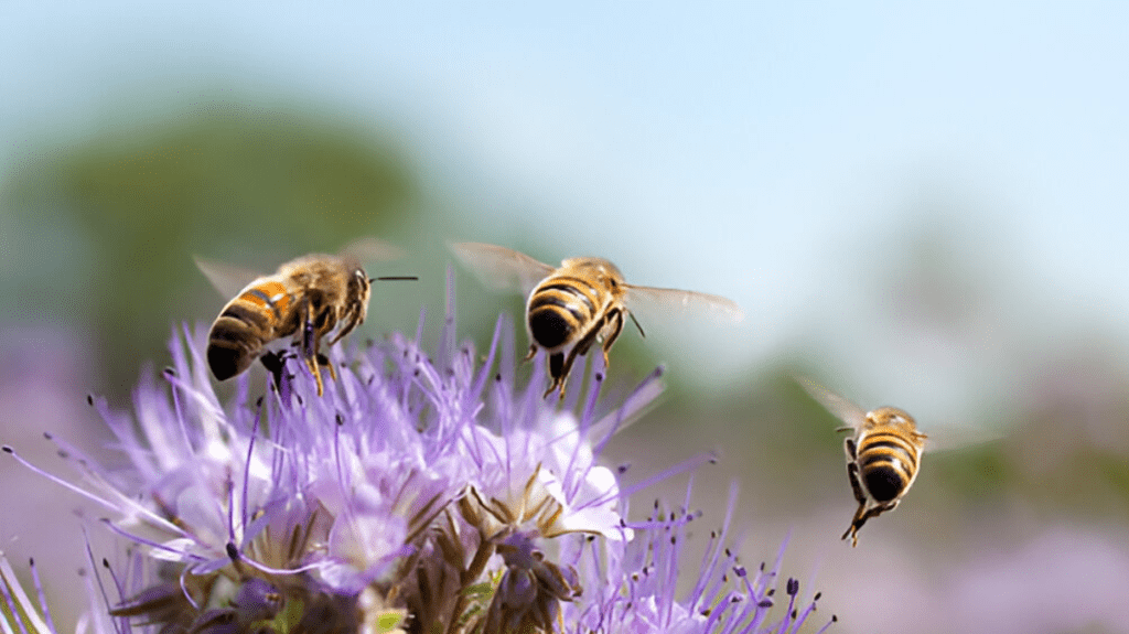 Spiritual Meaning of Bees