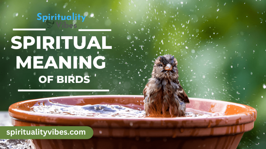 Spiritual Meaning of Birds