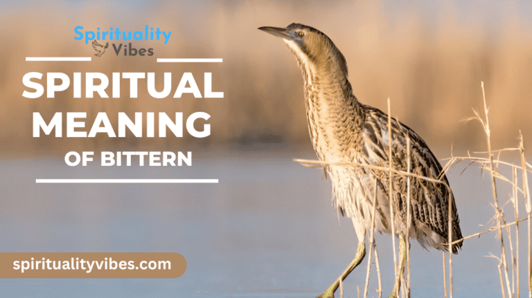 Spiritual Meaning of Bittern