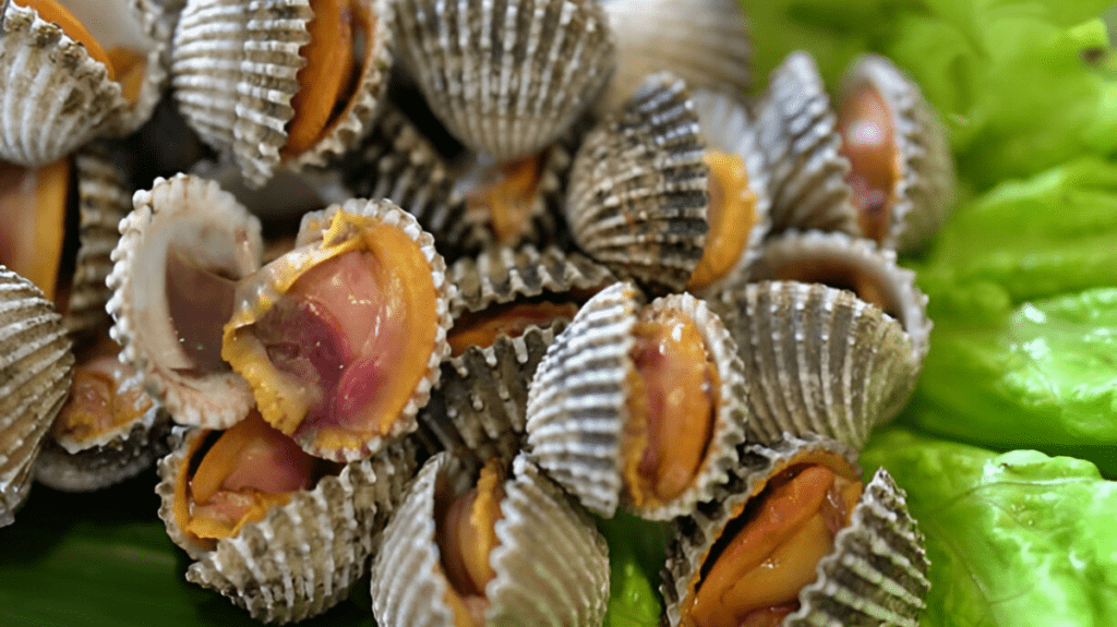 Spiritual Meaning of Bivalves