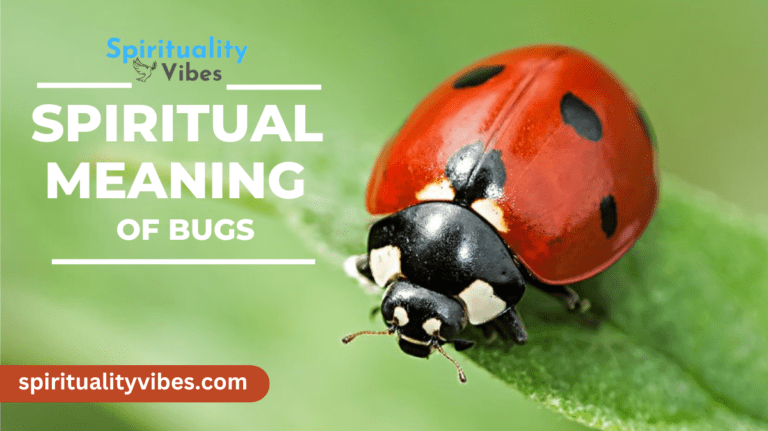 Spiritual Meaning of Bugs