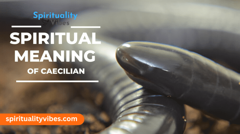 Spiritual Meaning of Caecilian