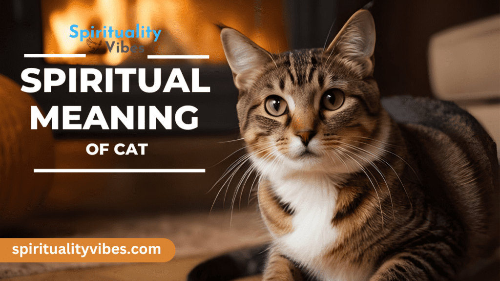 Spiritual Meaning of Cat