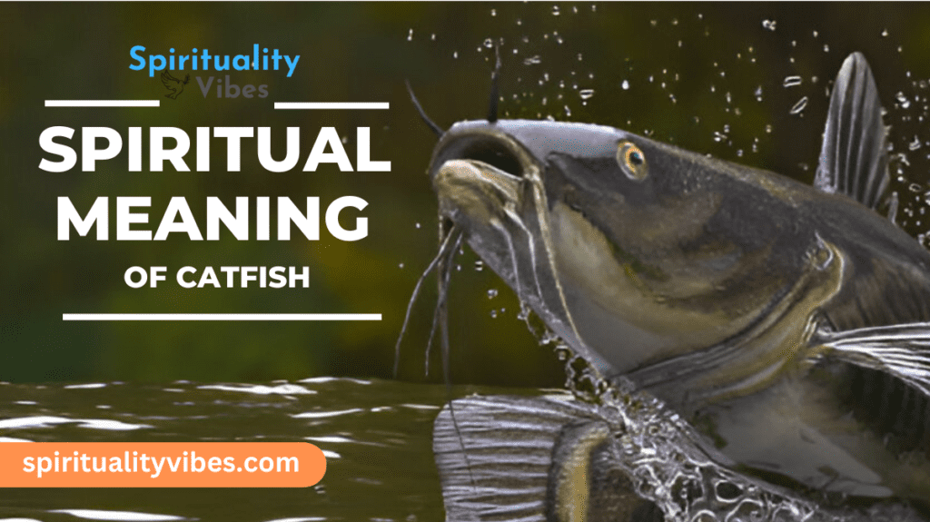 Spiritual Meaning of Catfish