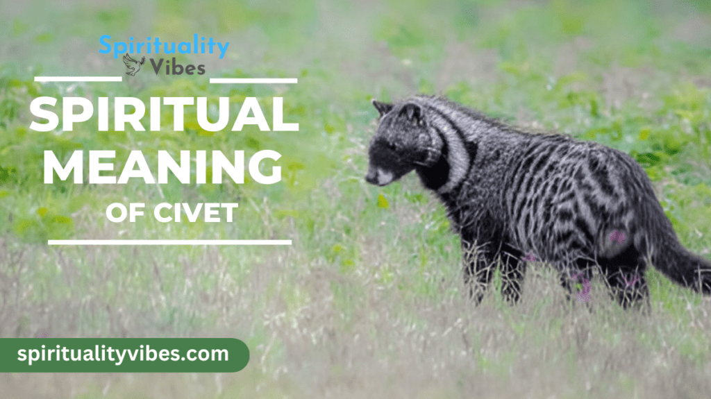 Spiritual Meaning of Civet