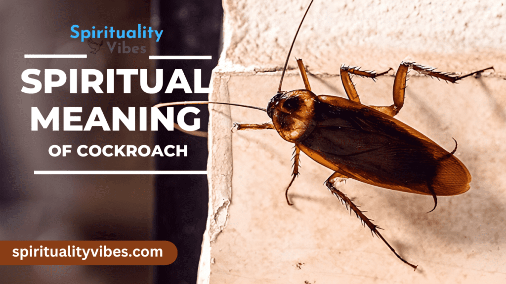 Spiritual Meaning of Cockroach