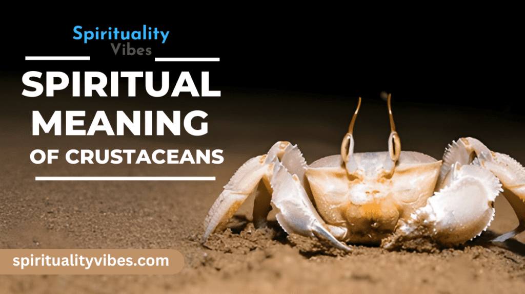 Spiritual Meaning of Crustaceans