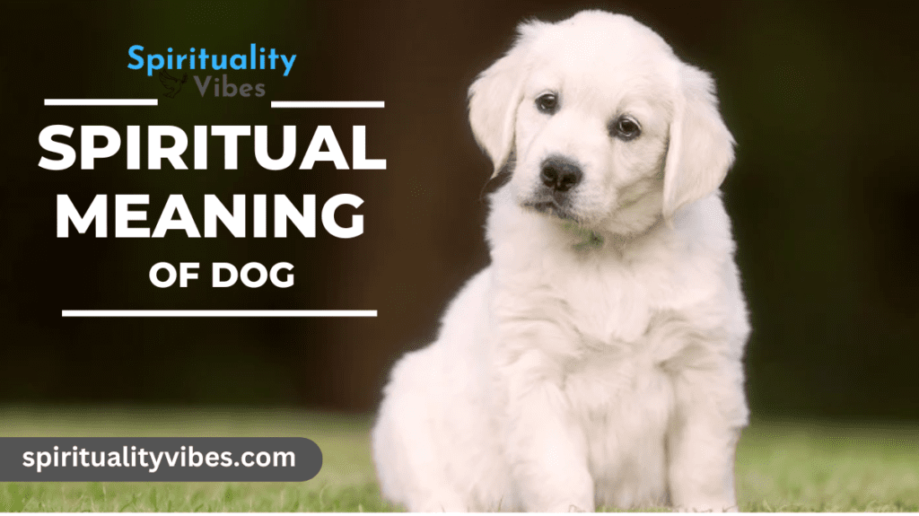 Spiritual Meaning of Dog