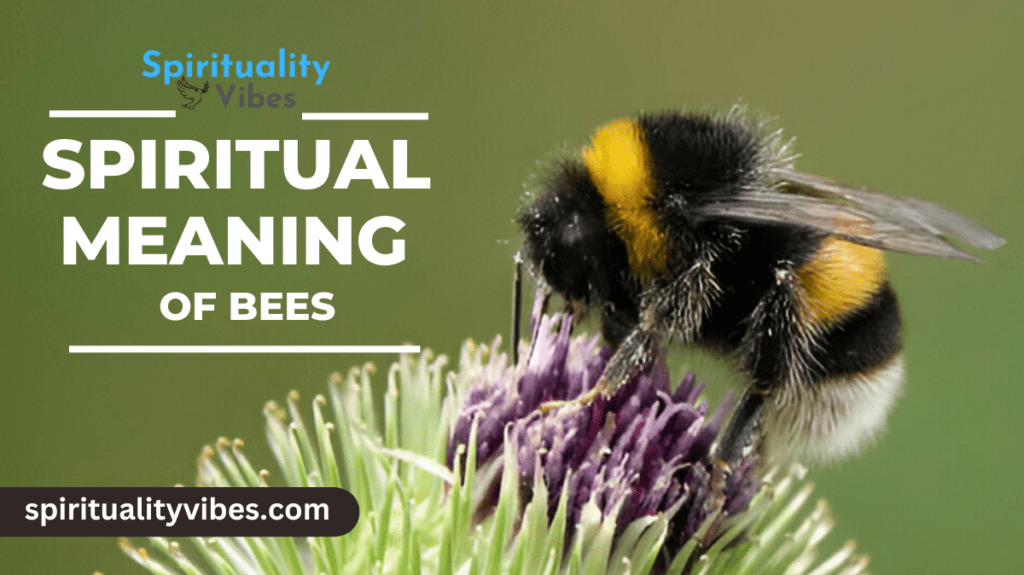 Spiritual Meaning of Bees