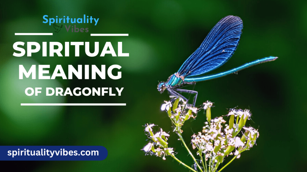 Spiritual Meaning of Dragonfly