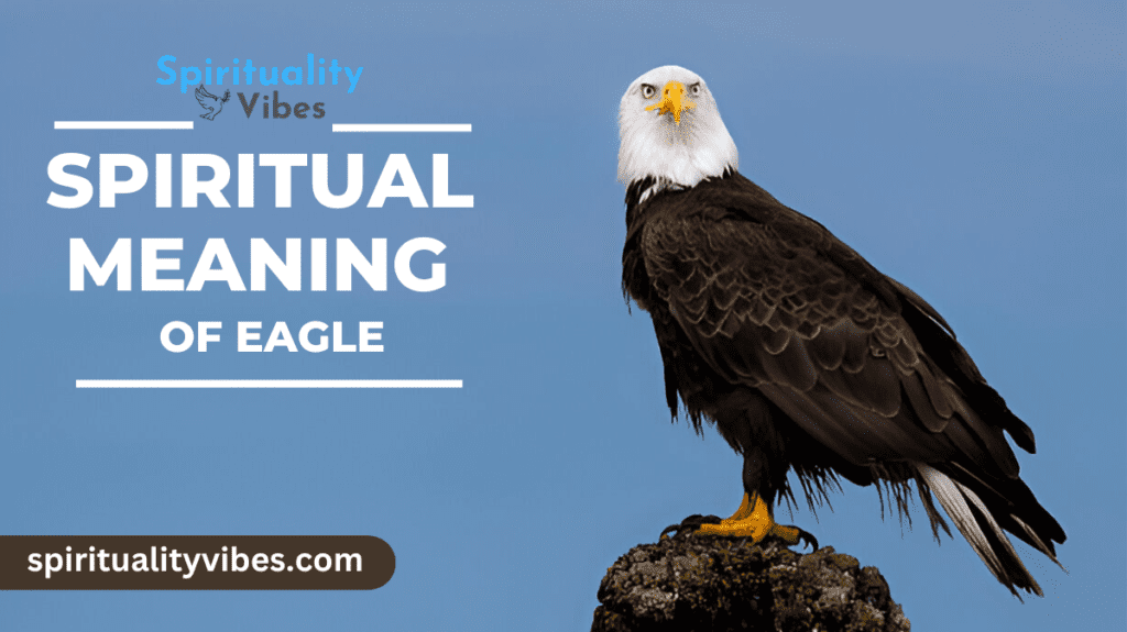 Spiritual Meaning of Eagle