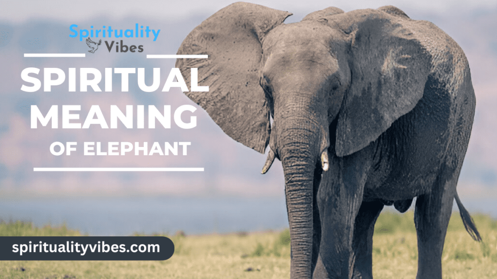 Spiritual Meaning of Elephant