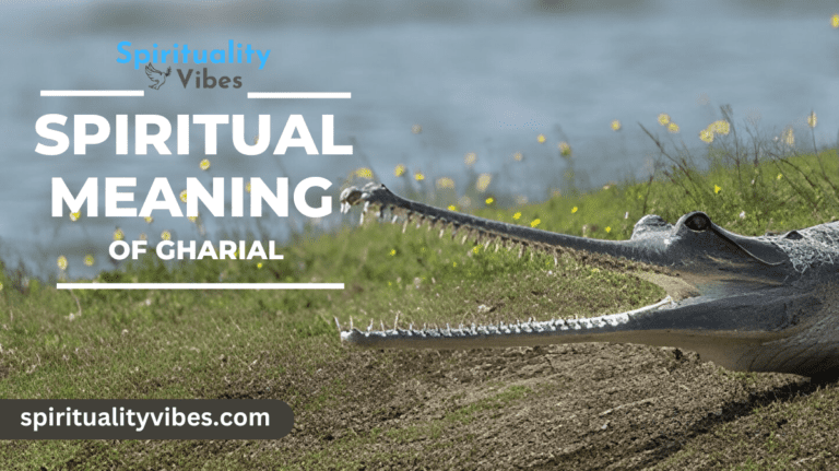 Spiritual Meaning of Gharial