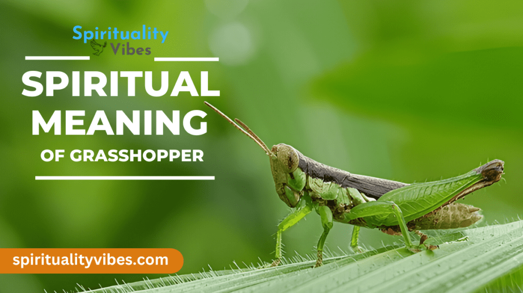 Spiritual Meaning of Grasshopper