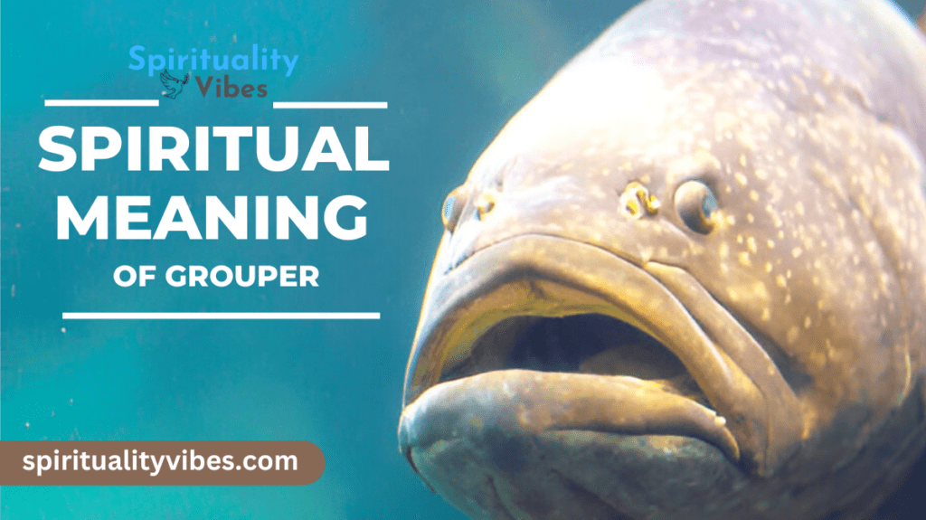 Spiritual Meaning of Grouper