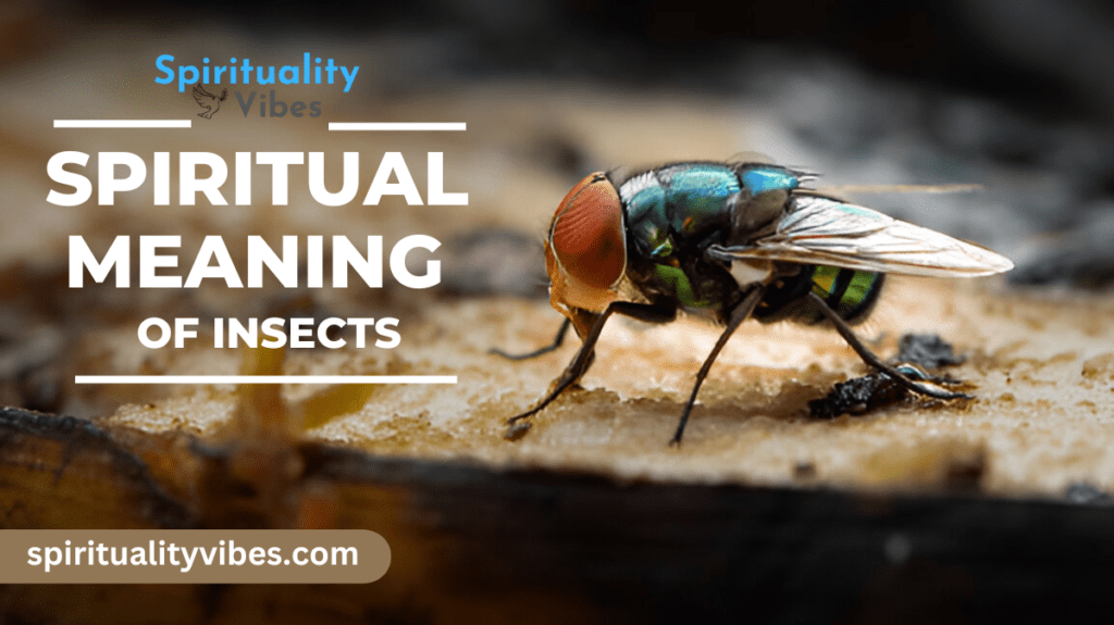 Spiritual Meaning of Insects