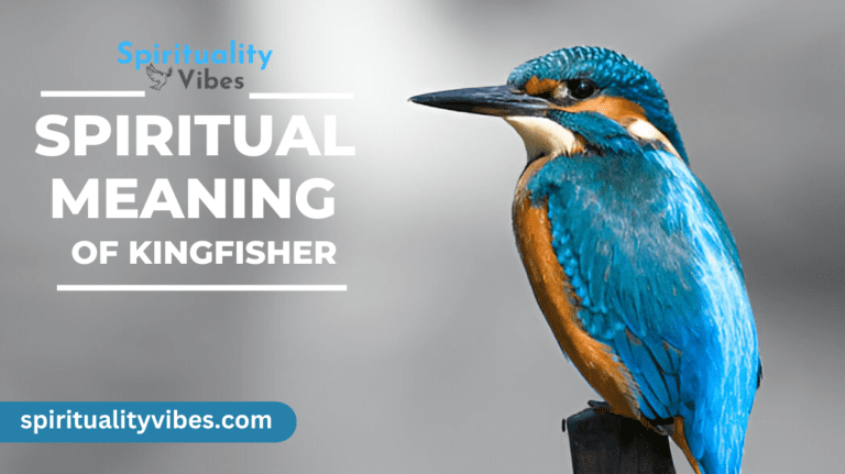 Spiritual Meaning of Kingfisher