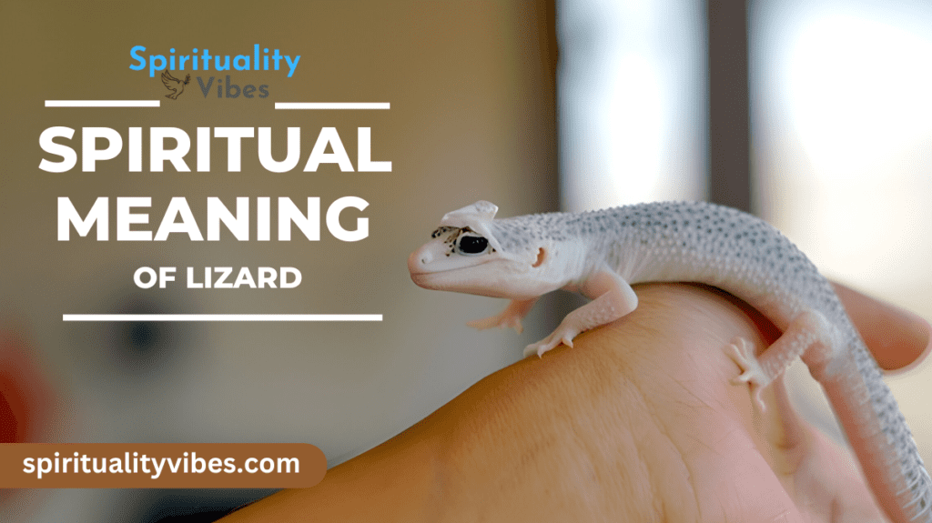 Spiritual Meaning of Lizard