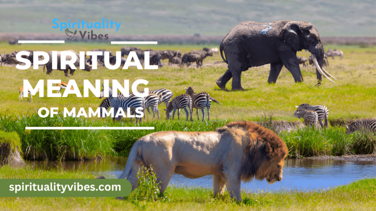 Spiritual Meaning of Mammals