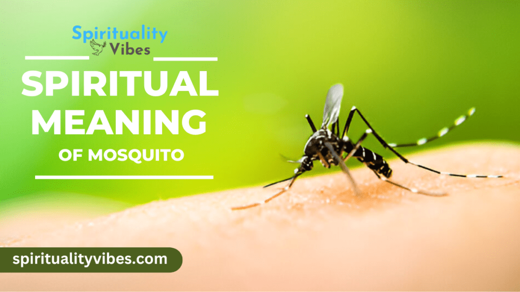 Spiritual Meaning of Mosquito