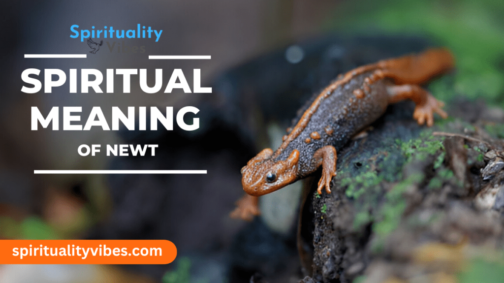 Spiritual Meaning of Newt