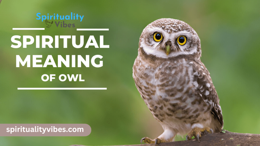 Spiritual Meaning of Owl