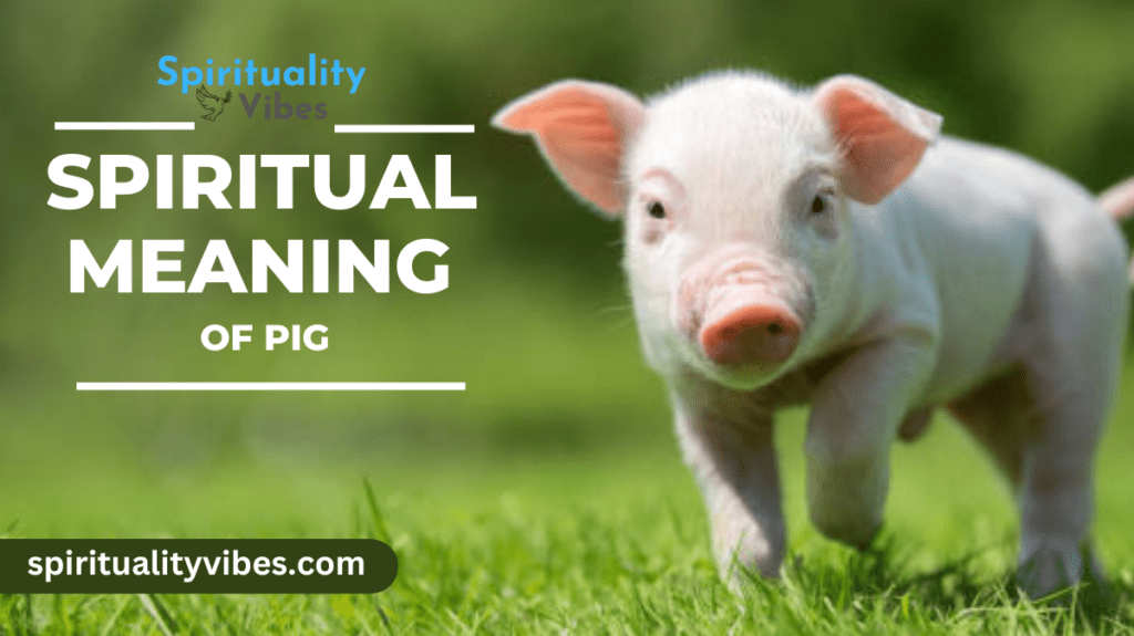 Spiritual Meaning of Pig