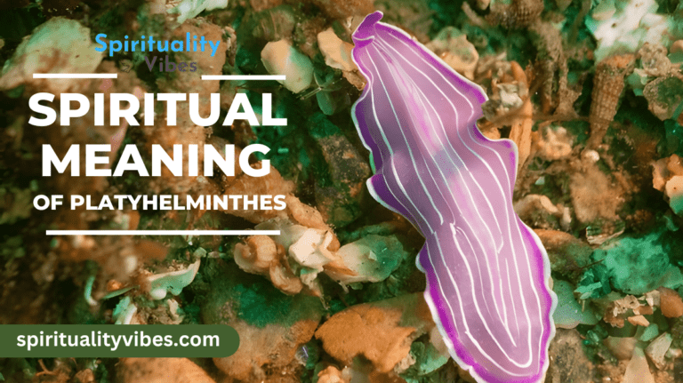 Spiritual Meaning of Platyhelminthes