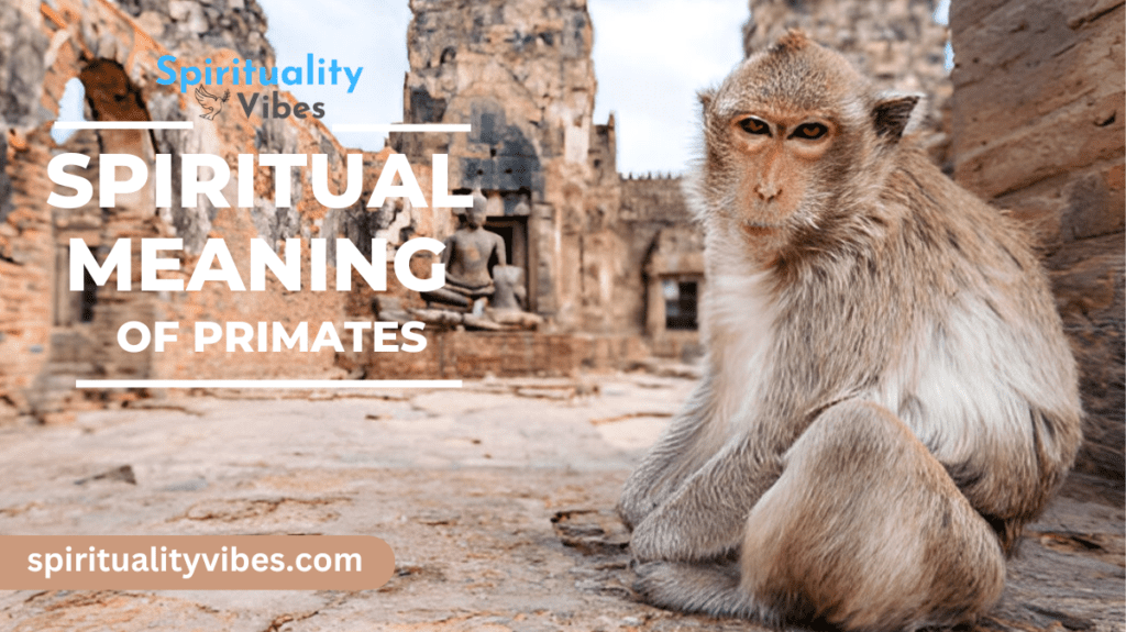 Spiritual Meaning of Primates