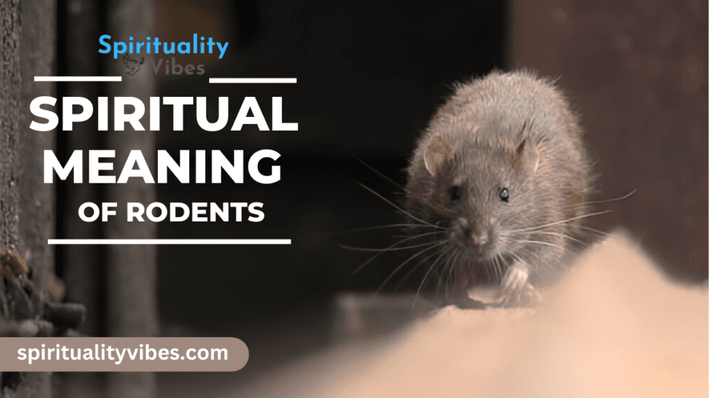 Spiritual Meaning of Rodents