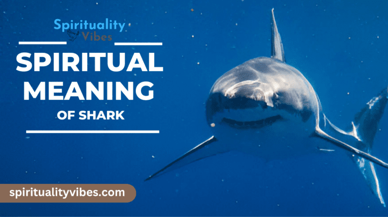 Spiritual Meaning of Shark