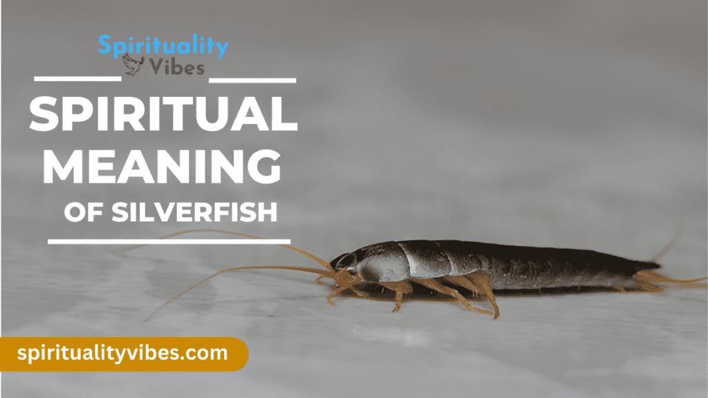 Spiritual Meaning of Silverfish