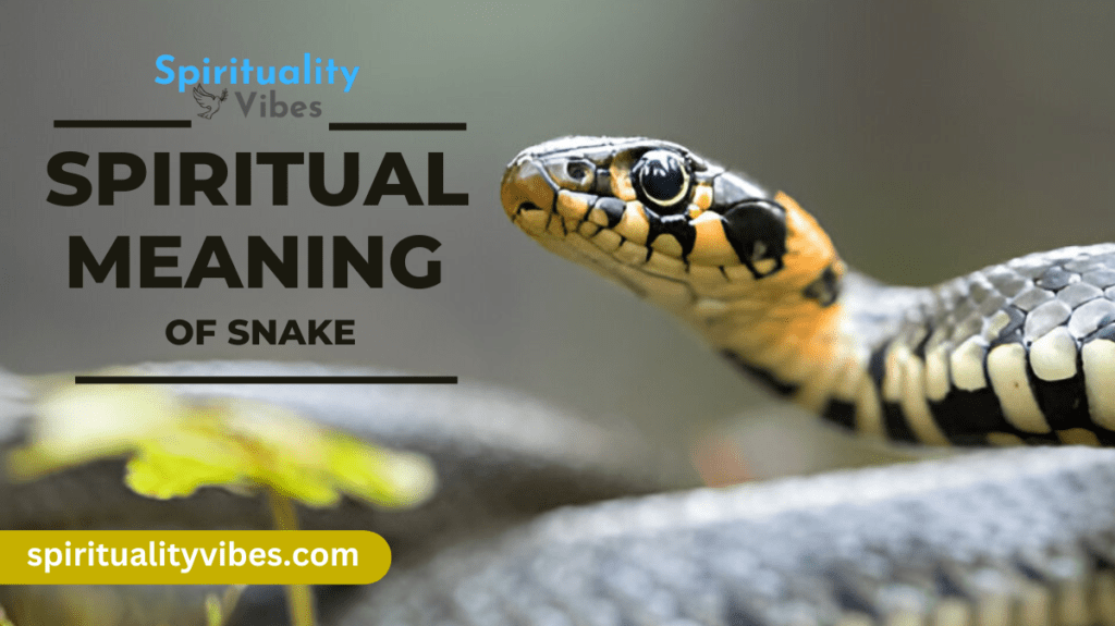 Spiritual Meaning of Snake