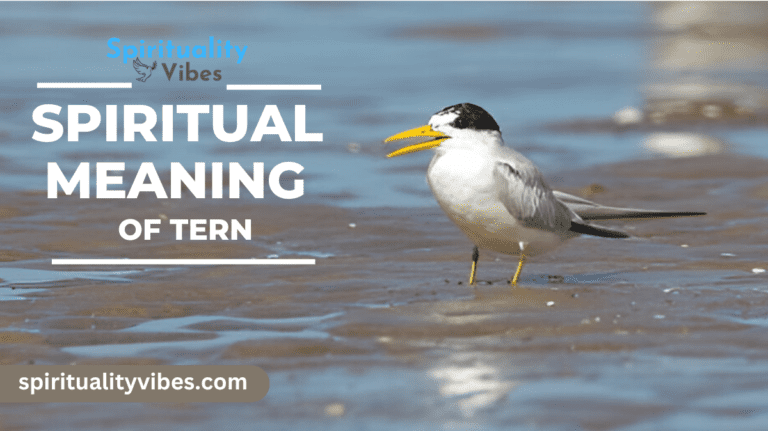 Spiritual Meaning of Tern