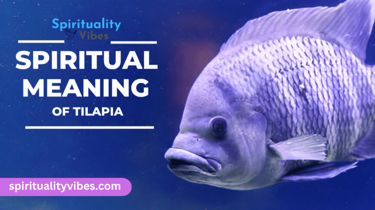 Spiritual Meaning of Tilapia