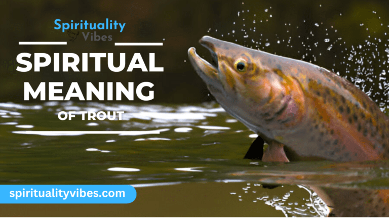 Spiritual Meaning of Trout