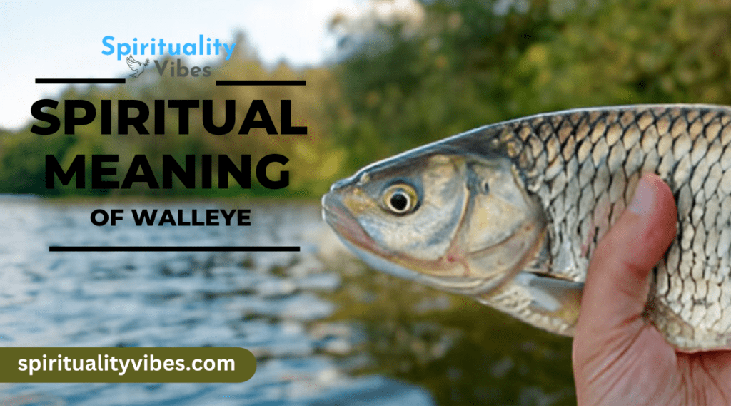 Spiritual Meaning of Walleye