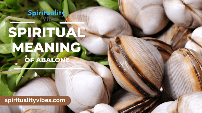 Spiritual Meaning of Abalone