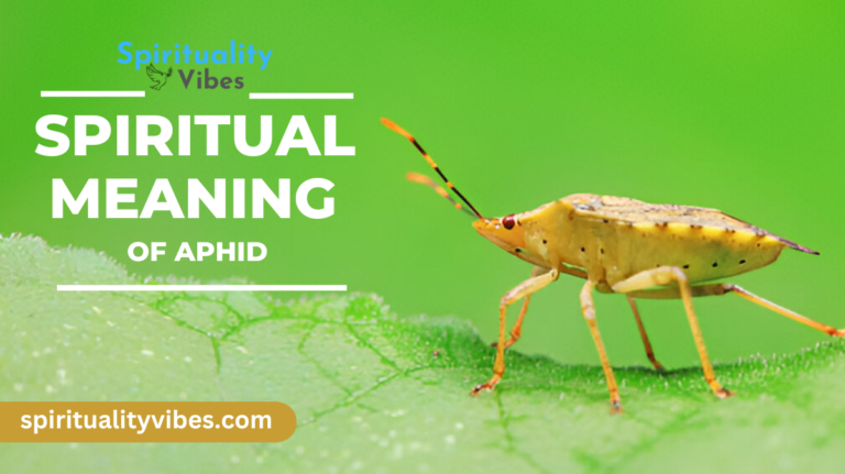 Spiritual Meaning of Aphid