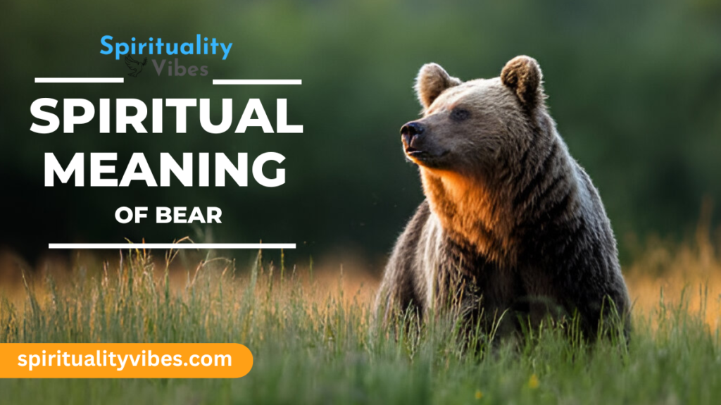 Spiritual Meaning of Bear