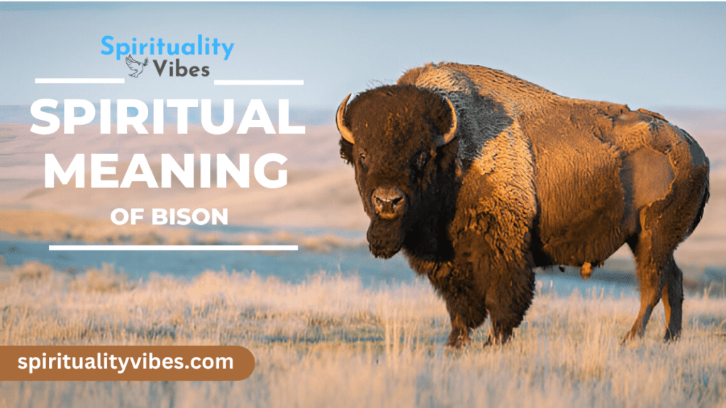 Spiritual Meaning of Bison