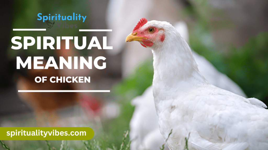 Spiritual Meaning of Chicken