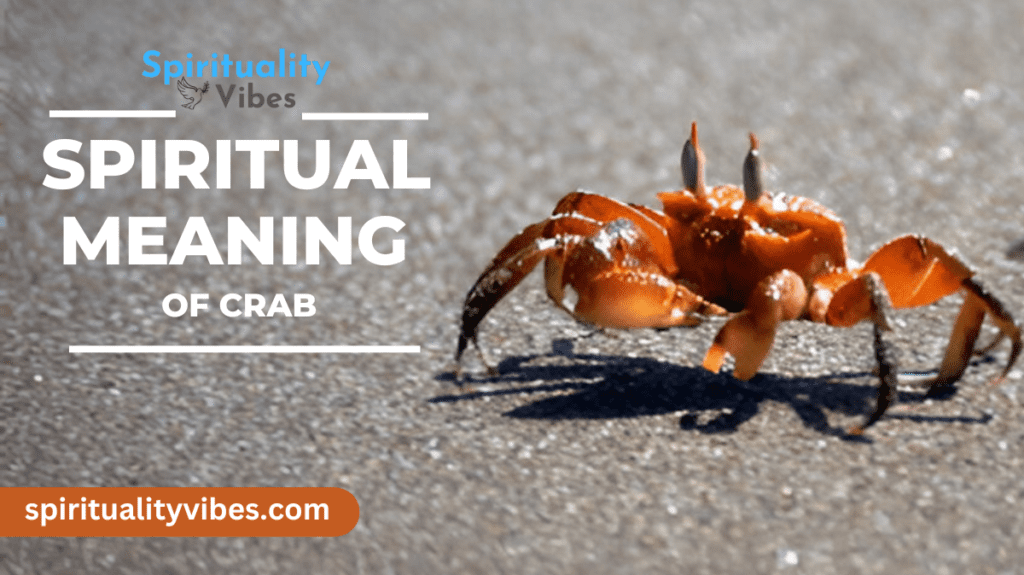 Spiritual Meaning of Crab